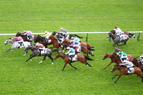 cheval gagnant gratuit|PRIX DU BASSIN D'ARCACHON .